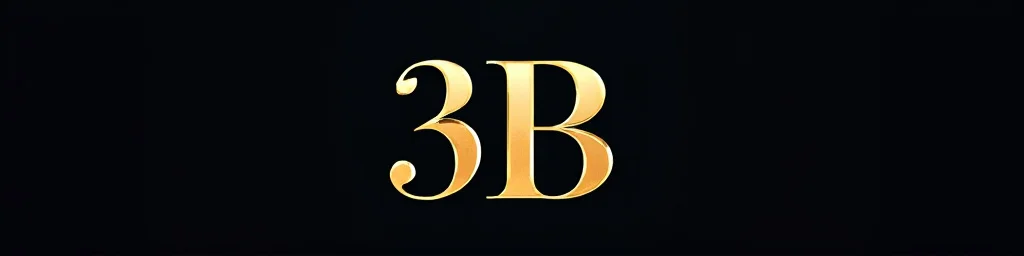 3B